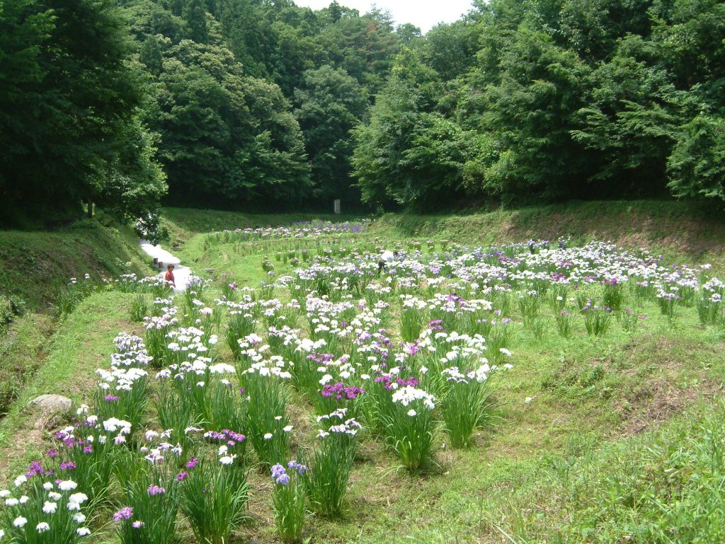 【浅川町の紹介】自然 ふくしま移住計画